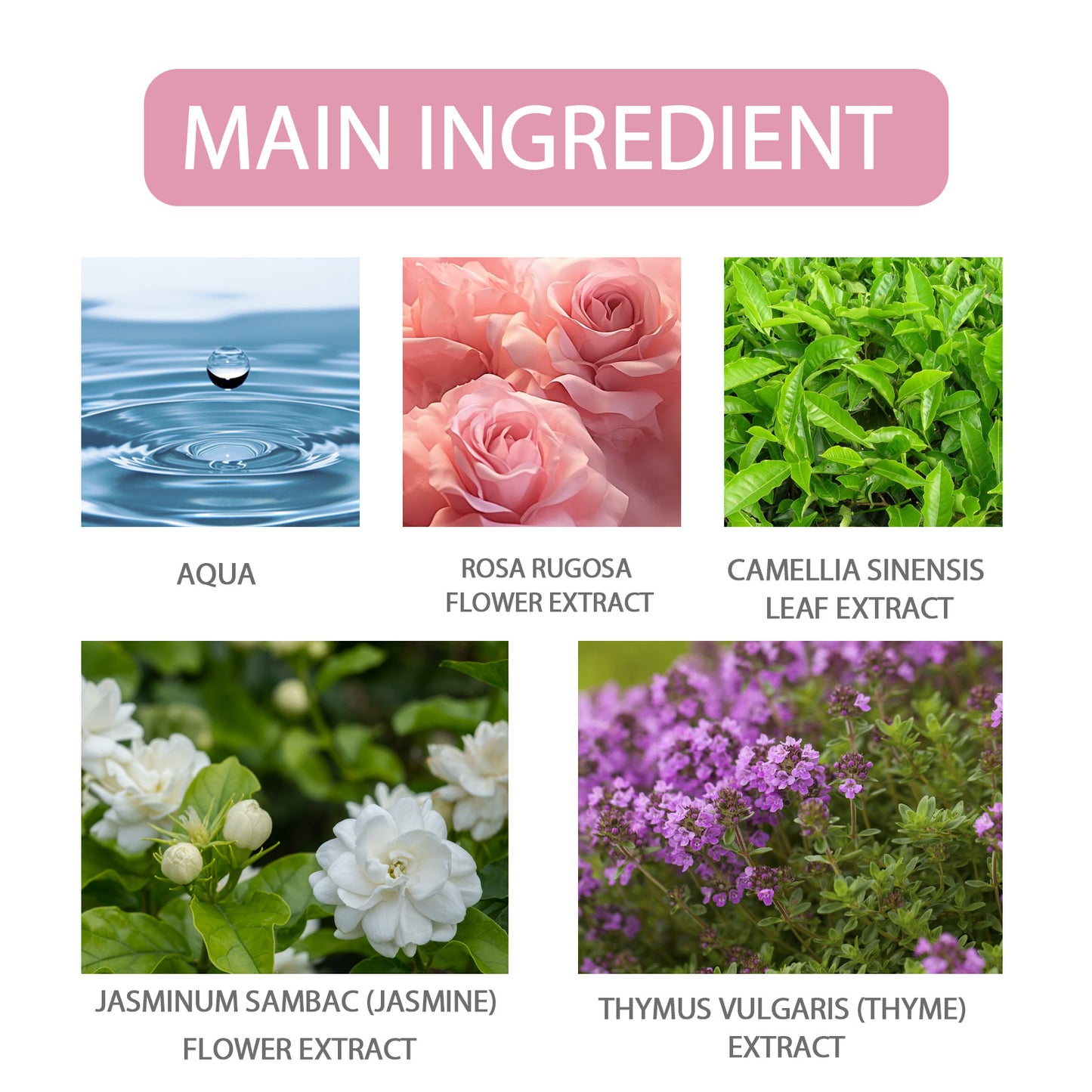 Pheromone Perfume Rose Fresh Light Fragrance Date Atmosphere Exudes Charm Long-Lasting Fragrance For Women - E-Esther Clothing Store