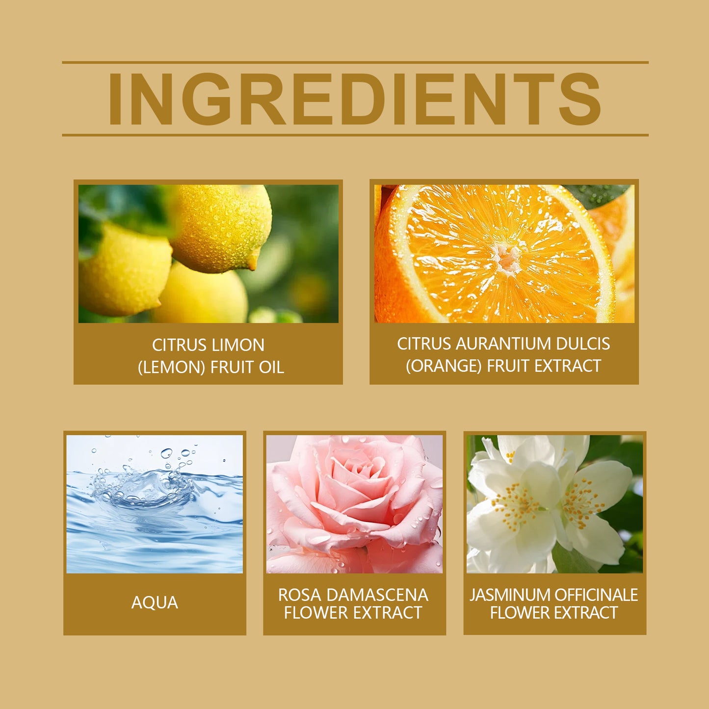 Charm Cologne Natural Fresh Light Elegant Charm Atmosphere Dating Light Fragrance Lasting Fragrance Elegant Perfume - E-Esther Clothing Store